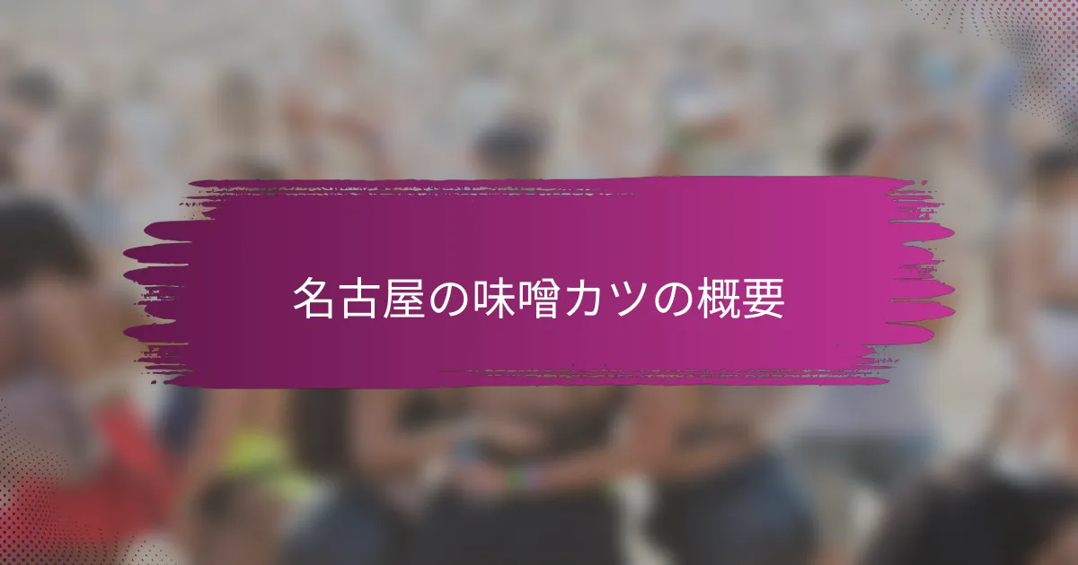名古屋の味噌カツの概要