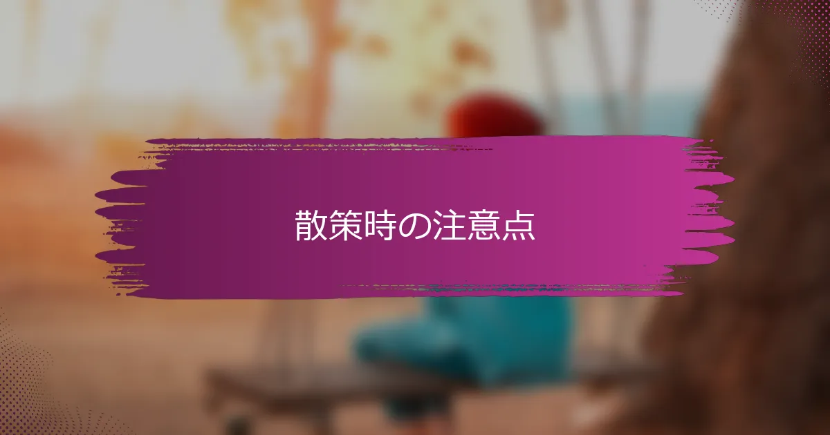 散策時の注意点